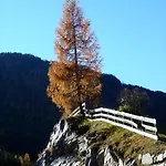 Отель Alpengasthof Zollwirt