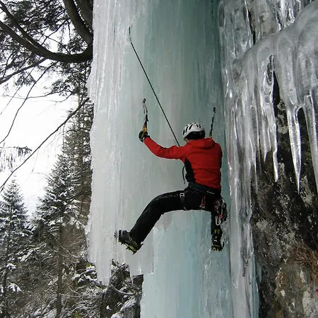 Hotel Alpengasthof Zollwirt Sankt Jakob in Defereggen