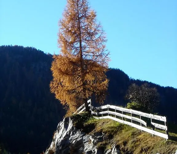 Hotel Alpengasthof Zollwirt