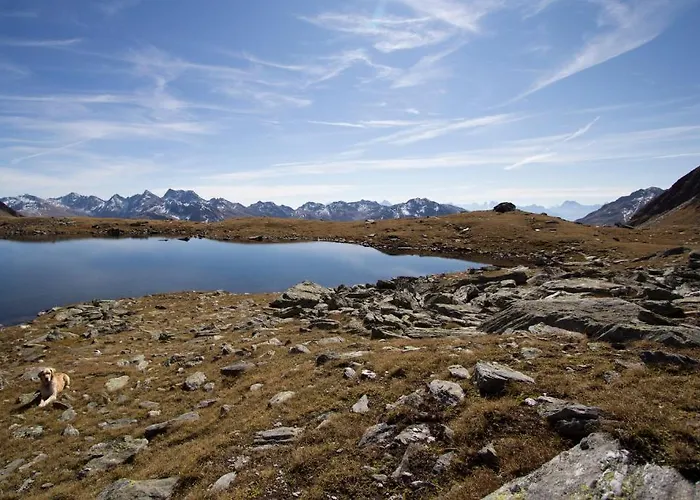 Alpengasthof Zollwirt Hotel