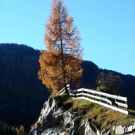 Hotel Alpengasthof Zollwirt